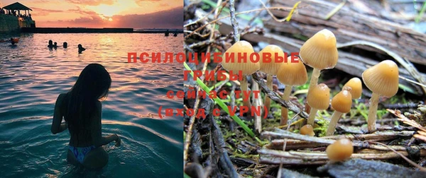 apvp Михайлов