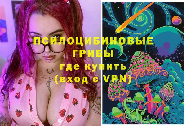 apvp Михайлов