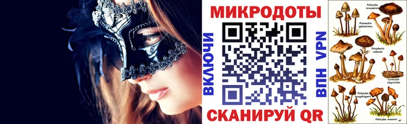 Галлюциногенные грибы прущие грибы  маркетплейс какой сайт  Петропавловск-Камчатский  магазин продажи наркотиков  hydra ТОР 