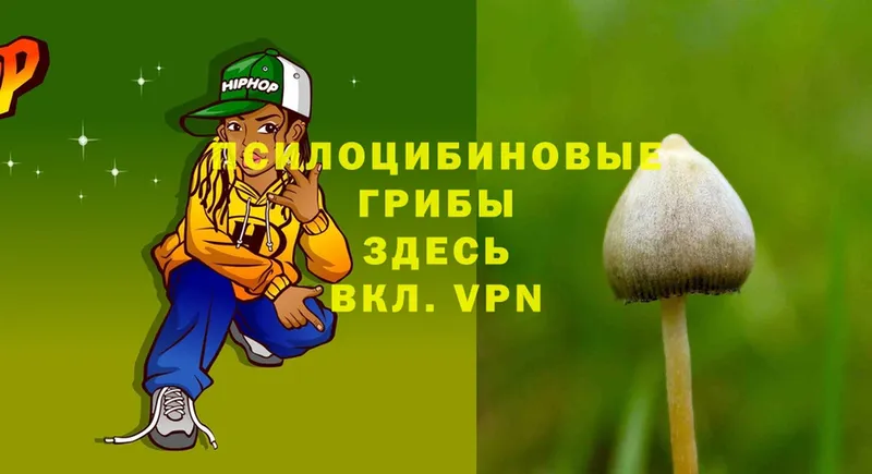 MEGA tor  Петропавловск-Камчатский  Галлюциногенные грибы Cubensis 