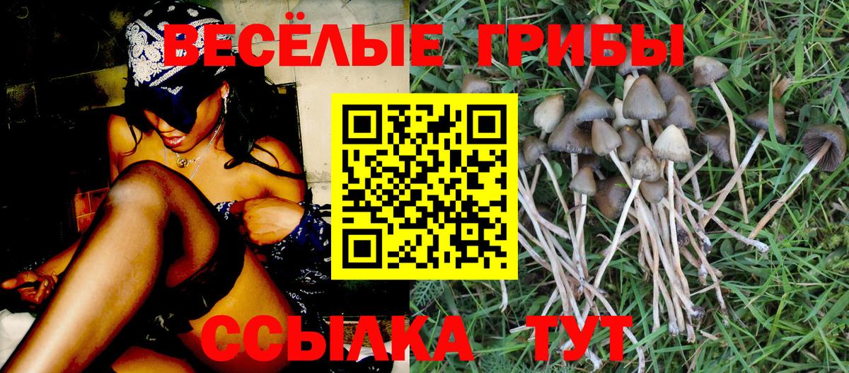 Галлюциногенные грибы ЛСД  купить наркотики сайты  Вход с VPN  Петропавловск-Камчатский  Псилоцибиновые грибы Psilocybe 