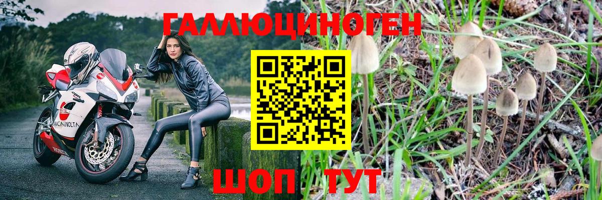 Псилоцибиновые грибы Magic Shrooms Петропавловск-Камчатский